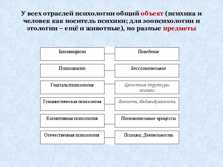 У всех отраслей психологии общий объект (психика и человек как носитель