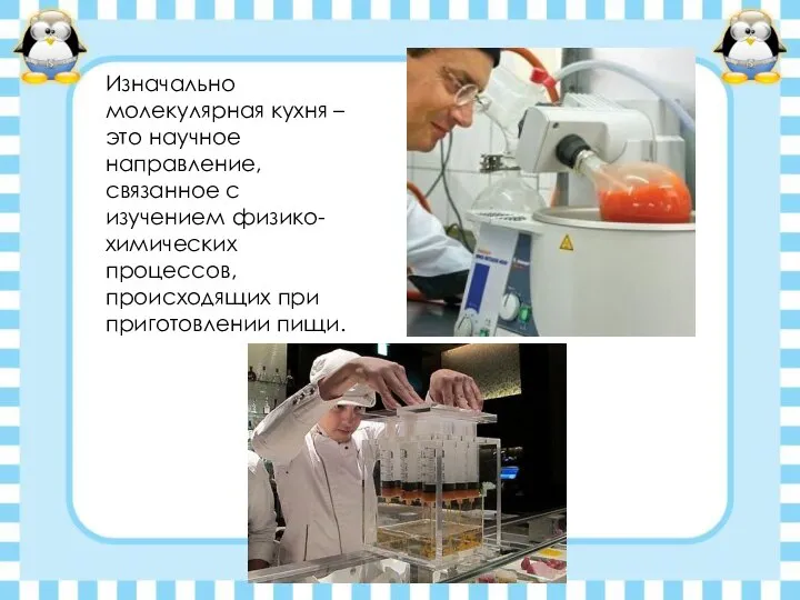 Изначально молекулярная кухня – это научное направление, связанное с изучением физико-химических процессов, происходящих при приготовлении пищи.