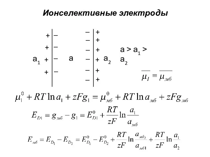 Ионселективные электроды + + + + + + + + +