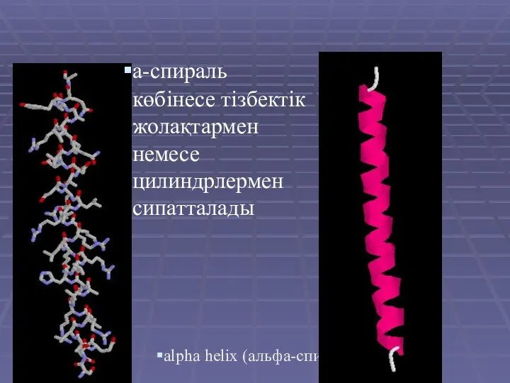 alpha helix (альфа-спираль) a-спираль көбінесе тізбектік жолақтармен немесе цилиндрлермен сипатталады