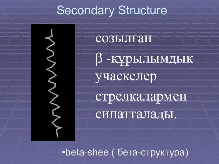 Secondary Structure beta-shee ( бета-структура) созылған β -құрылымдық учаскелер стрелкалармен сипатталады.