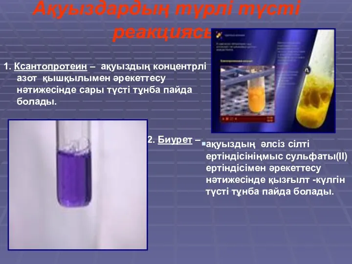 Ақуыздардың түрлі түсті реакциясы 1. Ксантопротеин – ақуыздың концентрлі азот қышқылымен