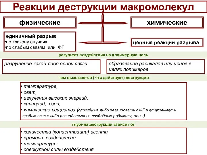 Реакции деструкции макромолекул