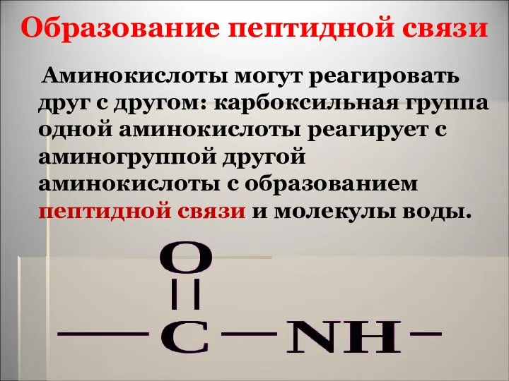 Образование пептидной связи Аминокислоты могут реагировать друг с другом: карбоксильная группа