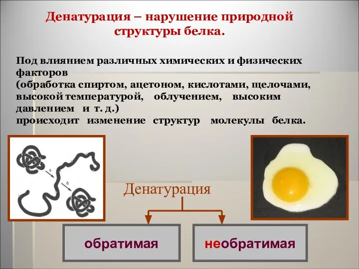 Денатурация – нарушение природной структуры белка. Денатурация Под влиянием различных химических