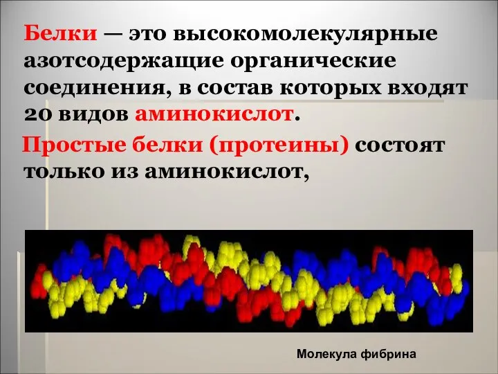 Белки — это высокомолекулярные азотсодержащие органические соединения, в состав которых входят