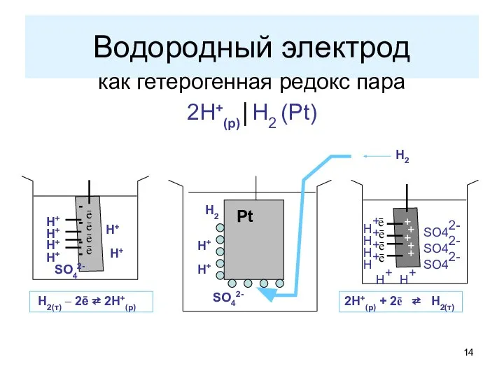 Водородный электрод как гетерогенная редокс пара 2Н+(р)│Н2 (Pt)