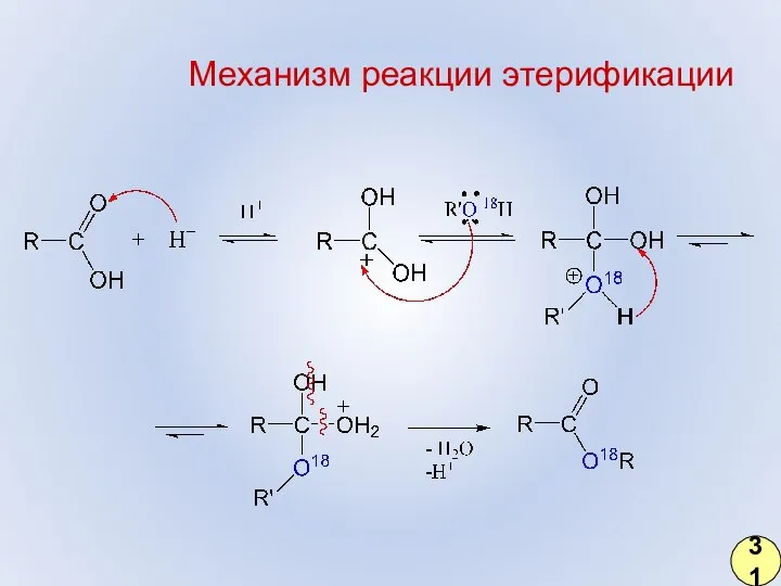 Механизм реакции этерификации 31