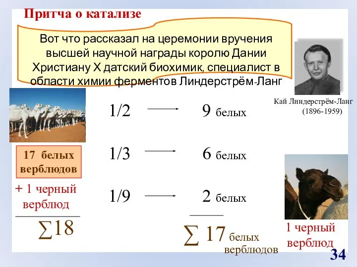 17 белых верблюдов Кай Линдерстрём-Ланг (1896-1959) Притча о катализе + 1