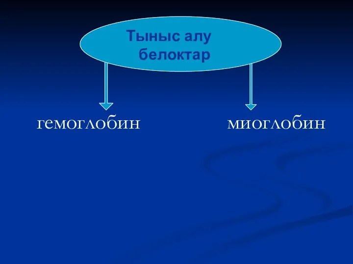 ыс алу белоктар гемоглобин миоглобин Тыныс алу белоктар