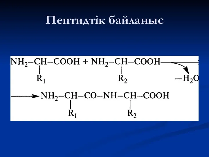 Пептидтік байланыс