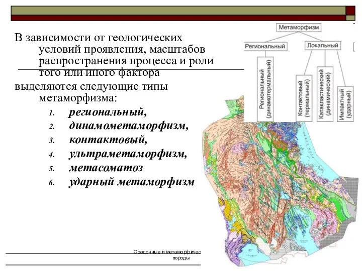 Осадочные и метаморфические горные породы В зависимости от геологических условий проявления,