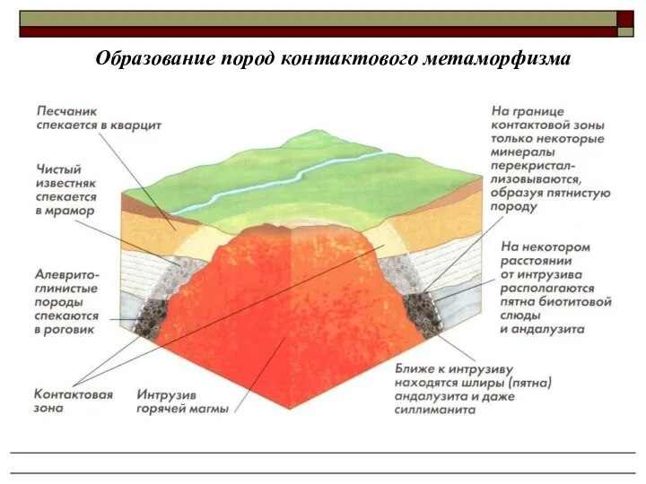 Образование пород контактового метаморфизма