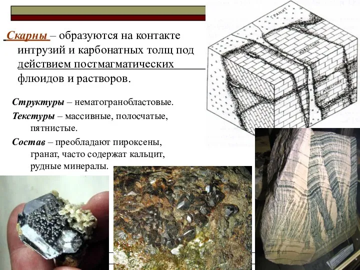 Осадочные и метаморфические горные породы Скарны – образуются на контакте интрузий