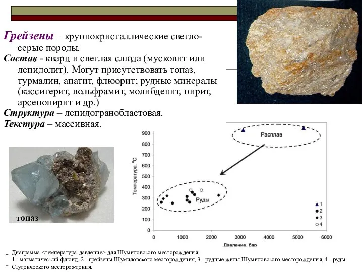 Осадочные и метаморфические горные породы Грейзены – крупнокристаллические светло-серые породы. Состав