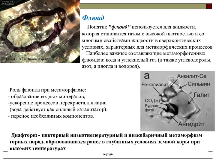 Осадочные и метаморфические горные породы Флюид Понятие "флюид" используется для жидкости,