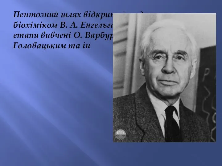 Пентозний шлях відкритий радянським біохіміком В. А. Енгельгардтом. Окремі його етапи