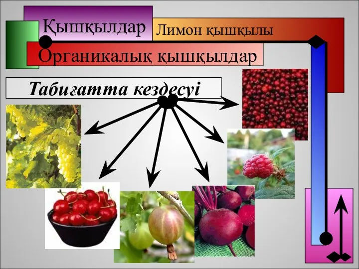 Қышқылдар Органикалық қышқылдар Лимон қышқылы Табиғатта кездесуі