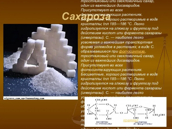 Сахароза Сахароза, тростниковый или свекловичный сахар, один из важнейших дисахаридов, тростниковый