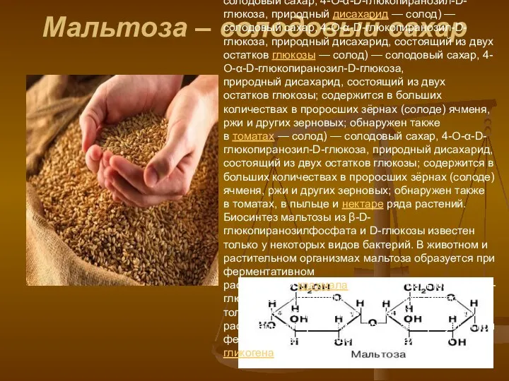 Мальтоза – солодовый сахар Мальтоза (от англ. malt — солод —