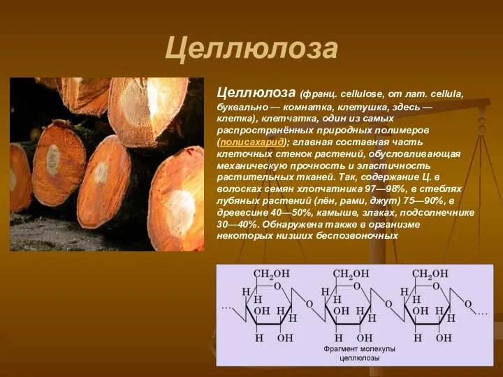 Целлюлоза Целлюлоза (франц. cellulose, от лат. cellula, буквально — комнатка, клетушка,