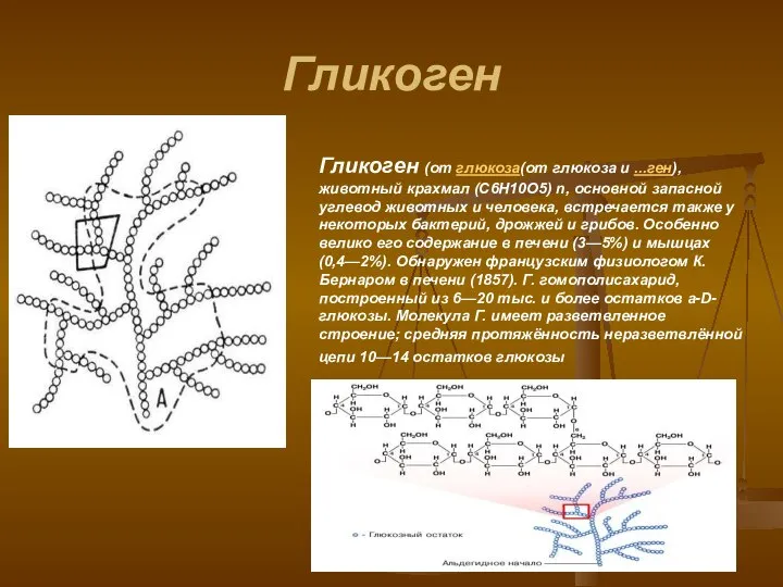 Гликоген Гликоген (от глюкоза(от глюкоза и ...ген), животный крахмал (C6H10O5) n,