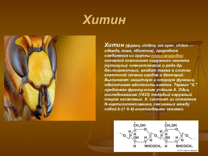 Хитин Хитин (франц. chitine, от греч. chiton — одежда, кожа, оболочка),