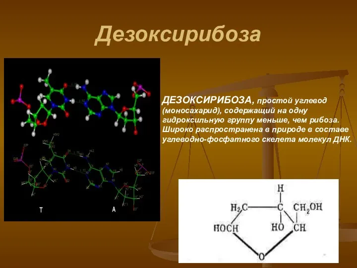 Дезоксирибоза ДЕЗОКСИРИБОЗА, простой углевод (моносахарид), содержащий на одну гидроксильную группу меньше,