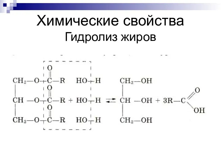 Химические свойства Гидролиз жиров