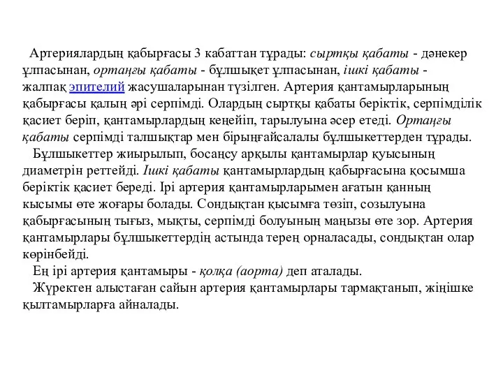 Артериялардың қабырғасы 3 кабаттан тұрады: сыртқы қабаты - дәнекер ұлпасынан, ортаңғы