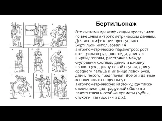 Бертильонаж Это система идентификации преступника по внешним антропометрическим данным. Для идентификации