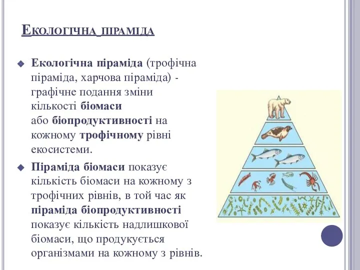 Екологічна піраміда Екологічна піраміда (трофічна піраміда, харчова піраміда) - графічне подання