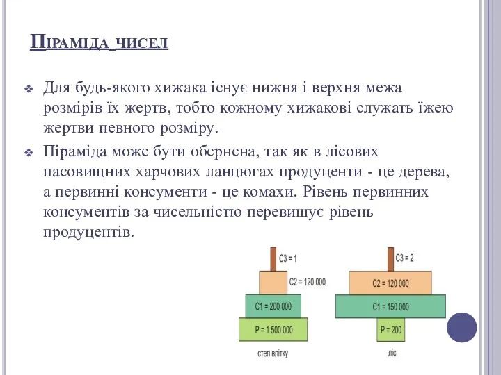 Піраміда чисел Для будь-якого хижака існує нижня і верхня межа розмірів