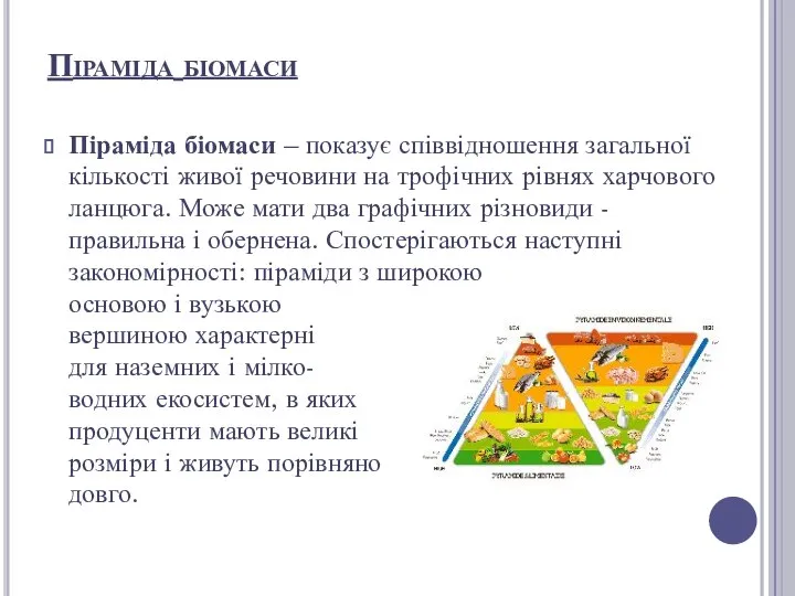 Піраміда біомаси – показує співвідношення загальної кількості живої речовини на трофічних