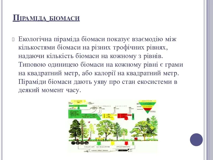 Екологічна піраміда біомаси показує взаємодію між кількостями біомаси на різних трофічних