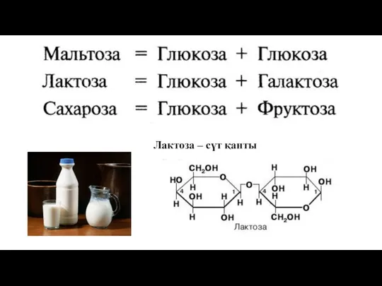 Лактоза – сүт қанты