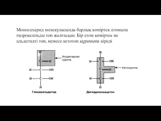 Моносахарид молекуласында барлық көміртек атомына гидроксильды топ жалғасқан. Бір атом көміртек