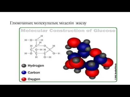 Глюкозаның молекулалық моделін жасау