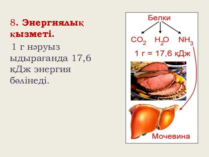 8. Энергиялық қызметі. 1 г нәруыз ыдырағанда 17,6 кДж энергия бөлінеді.