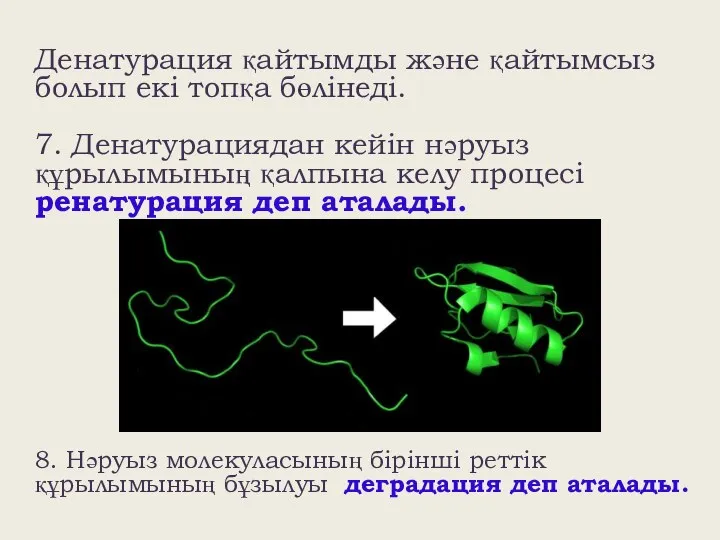 Денатурация қайтымды және қайтымсыз болып екі топқа бөлінеді. 7. Денатурациядан кейін