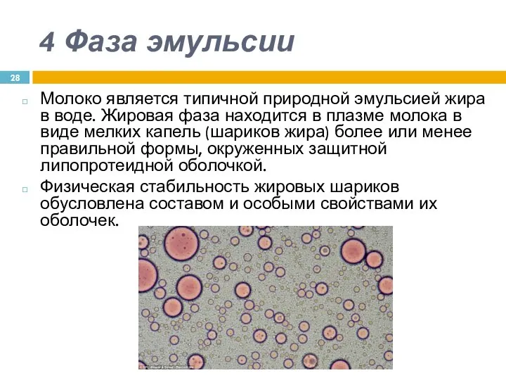 4 Фаза эмульсии Молоко является типичной природной эмульсией жира в воде.