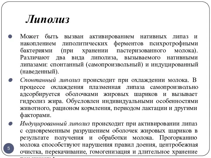 Липолиз Может быть вызван активированием нативных липаз и накоплением липолитических ферментов