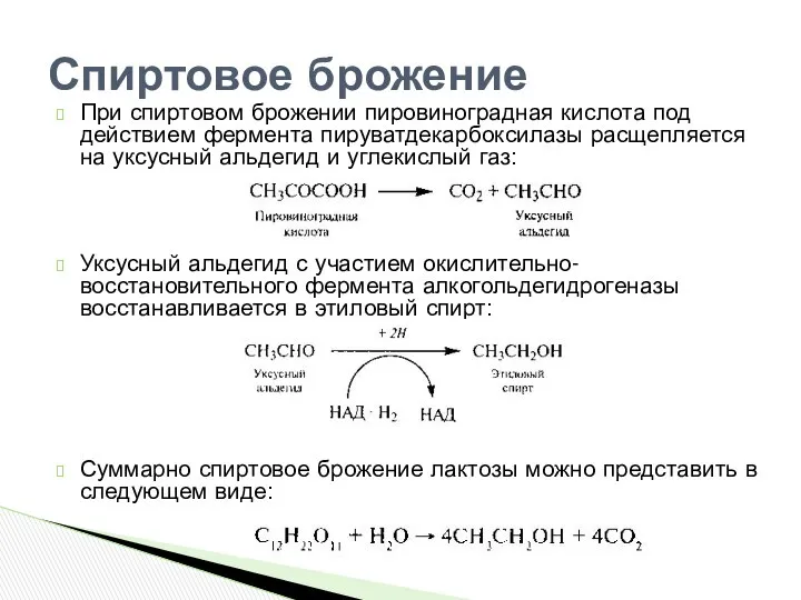 При спиртовом брожении пировиноградная кислота под действием фермента пируватдекарбоксилазы расщепляется на