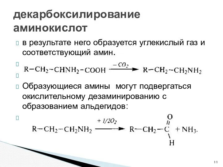 в результате него образуется углекислый газ и соответствующий амин. Образующиеся амины