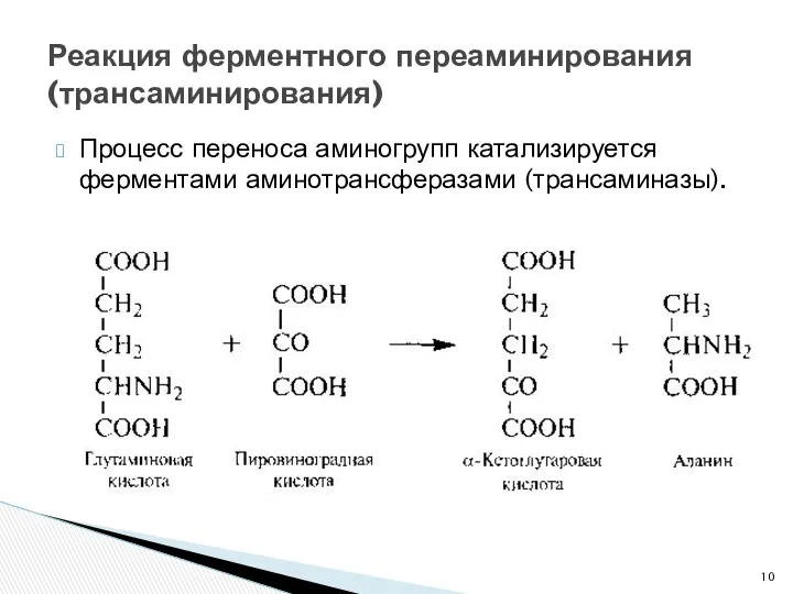 Процесс переноса аминогрупп катализируется ферментами аминотрансферазами (трансаминазы). Реакция ферментного переаминирования (трансаминирования)