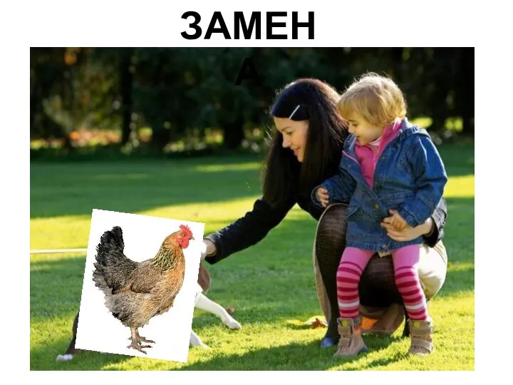 ЗАМЕНА