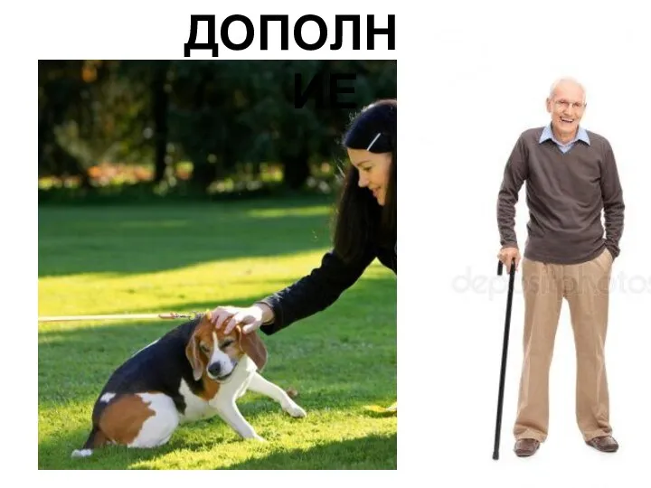 ДОПОЛНЕНИЕ