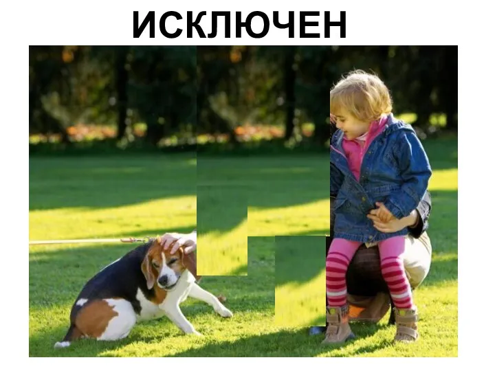 ИСКЛЮЧЕНИЕ