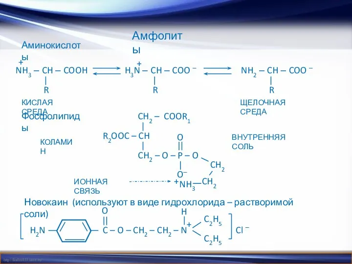 Амфолиты Аминокислоты Фосфолипиды Новокаин (используют в виде гидрохлорида – растворимой соли)