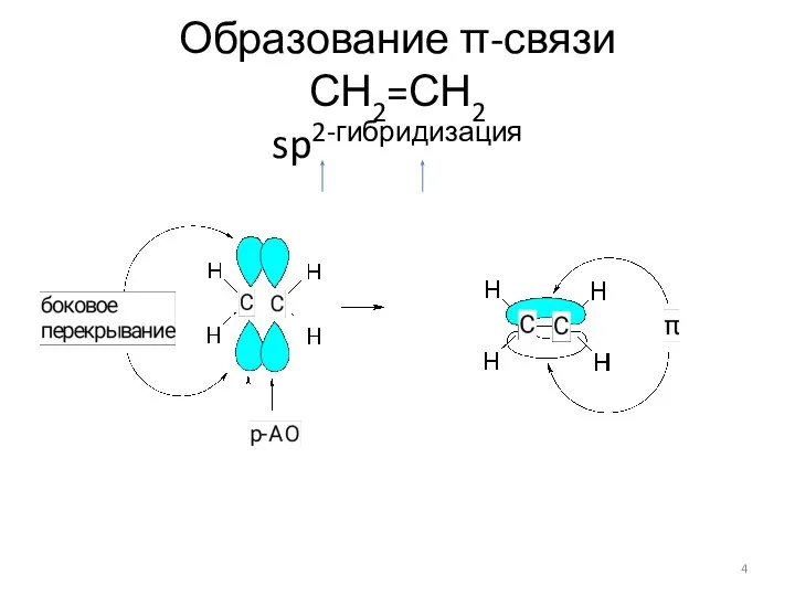 Образование π-связи СН2=СН2 sp2-гибридизация